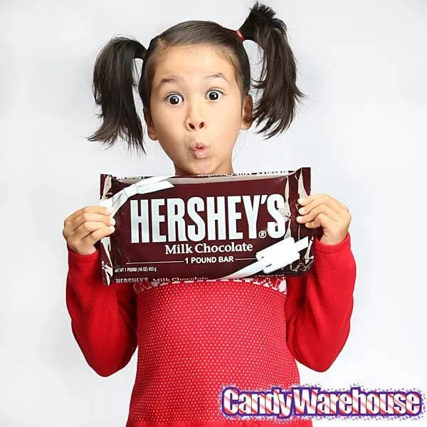 Hershey's 1-Pound Milk Chocolate Bar - Image 2