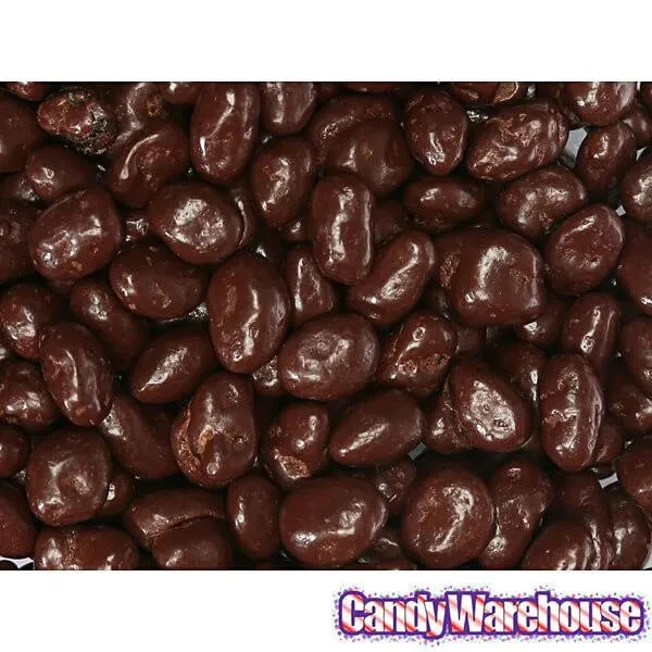 Raisinets Milk Chocolate Raisins Candy: 8-Ounce Bag - Image 4